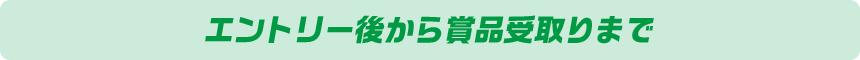 エントリー後から賞品受取りまで