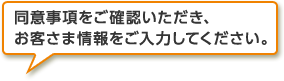 同意事項をご確認いただき、お客さま情報をご入力してください。